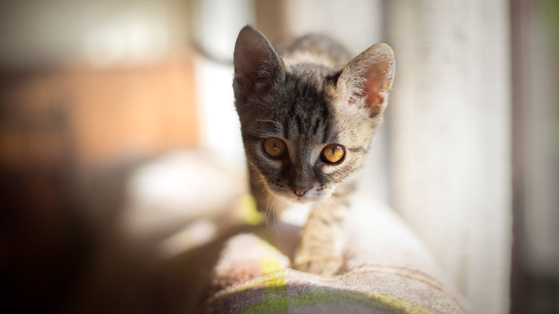 内马尔空降莱比锡改写格局，欧冠夜关键策动红牛完胜国际米兰