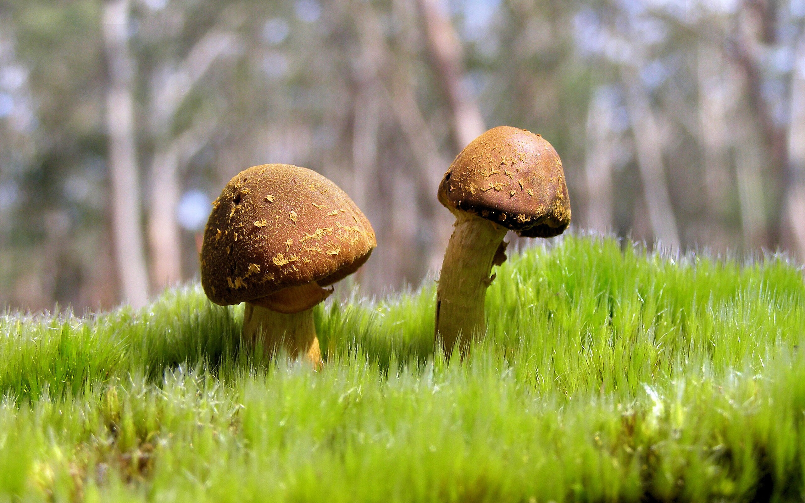 孤胆英雄的独白，在那个季后赛之夜，坎特用热血焚尽了所有质疑